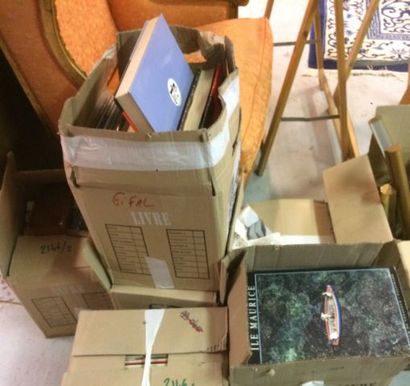 Fort lot de livres sur le voyage et les beaux...