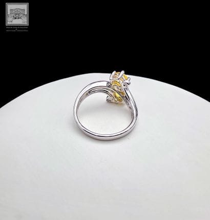 Bague Toi et Moi en or blanc 750°/.(18K)...