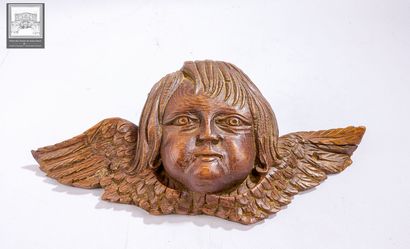 Angelot en chêne sculpté 
Epoque XIXe siècle...
