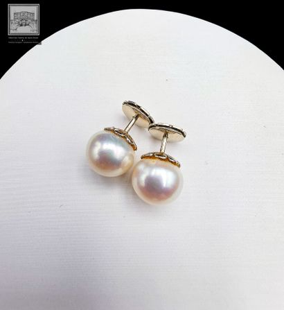Paire de clous d'oreilles en or de deux perles...