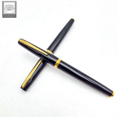 WATERMAN'S
Lot de 2 stylos plume 
Plume en...