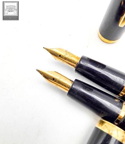 WATERMAN'S
Lot de 2 stylos plume 
Plume en...