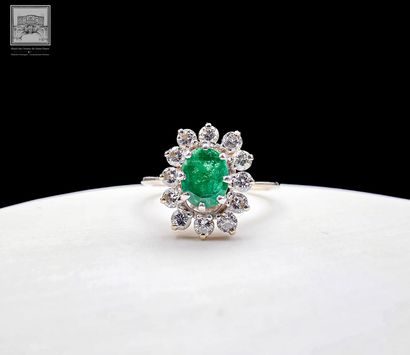 Bague Marguerite
Or gris et platine 750/°°°
Poinçon...