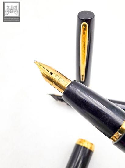 WATERMAN'S
Lot de 2 stylos plume 
Plume en...