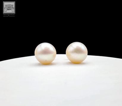 Paire de clous d'oreilles en or de deux perles...