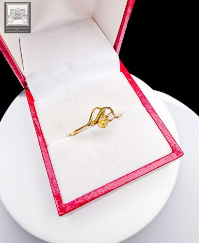 Bague
Or jaune
750/°°° Poinçon tête d'aigle
Sertie...