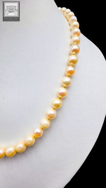 Cultured Pearl Necklace
750/°°° yellow and...