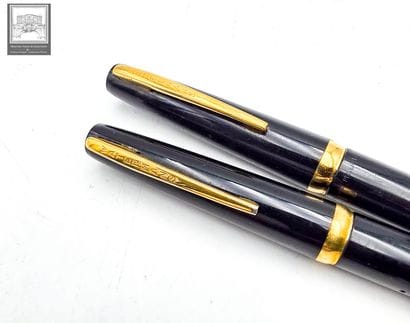 WATERMAN'S
Lot de 2 stylos plume 
Plume en...