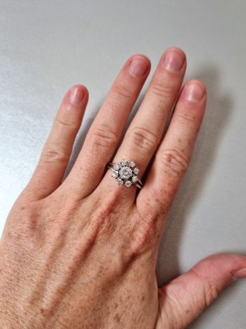 Daisy ring in 18k white gold (eagle head...