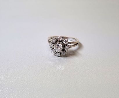 Daisy ring in 18k white gold (eagle head...