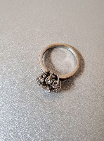 Daisy ring in 18k white gold (eagle head...