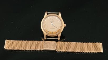 OMEGA

Seamaster référence 2494 SC



Montre...