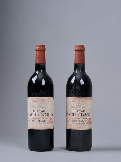 2 bottles CHT LYNCH BAGES, PAUILLAC, 1993.
(stained...
