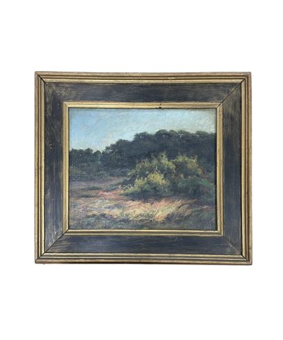ANDRE PAUL MERLE (XXe)
Paysage du Cher
Huile...