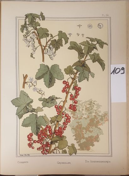 GRASSET, Eugène
The plant and its ornamental...
