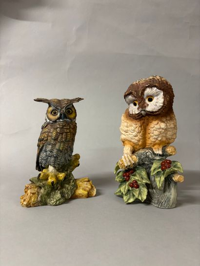Réunion d'une chouette et d'un hibou en biscuit...