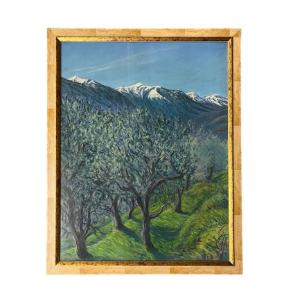 Pierre TCHAKHOTINE (1943) 
Set of 4 glass-framed...