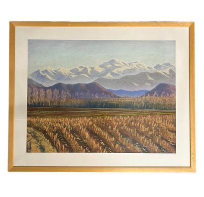 Pierre TCHAKHOTINE (1943) 
Set of 4 glass-framed...