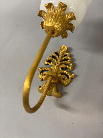 Paire d'appliques en bronze ciselé et doré...