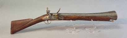Fusil tromblon à silex. Canon à pans puis...