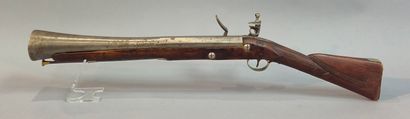 Fusil tromblon à silex. Canon à pans puis...