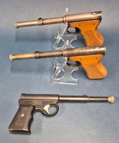 Lot de 3 pistolet à plomb à air comprimé...