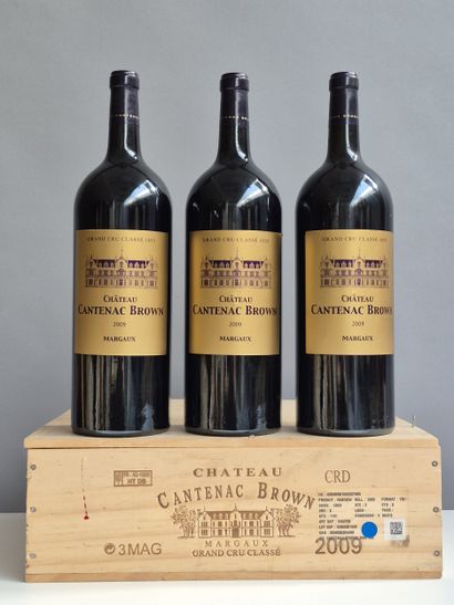 3 Magnums Château CANTENAC BROWN 2009 - 3e...
