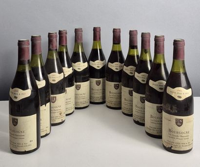 11 bottles BOURGOGNE 