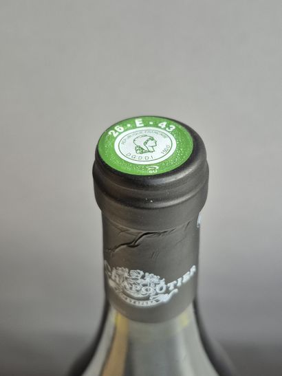 1 Magnum ERMITAGE ROUGE 