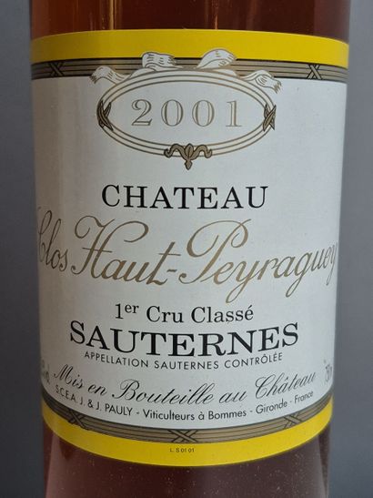 6 Bouteilles Château CLOS HAUT-PEYRAGUEY...