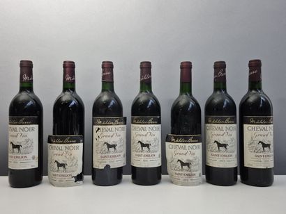 14 bottles CHEVAL NOIR 1994 - Saint Émilion....
