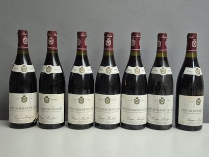 7 bottles Côte de Beaune Village1995 - Prosper...