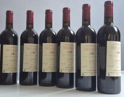 12 Bottles Domaine de TRÉVALLON 2008 - VDP...