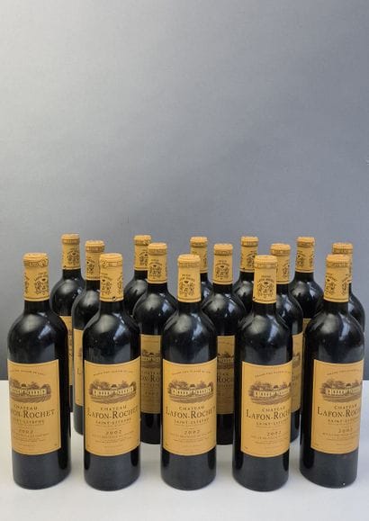 15 bouteilles Château LAFON ROCHET 2002 -...
