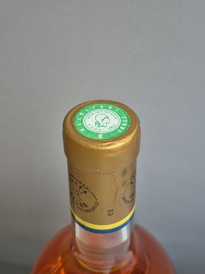 6 Magnums Château RIEUSSEC 2001 - 1er Cc...
