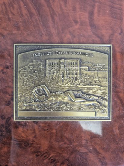 VISCONTI 
Fountain pen and inkwell in a burr...