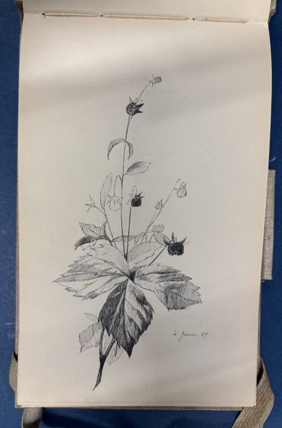 Fonds LOUBET – DESSINS / Album renfermant...