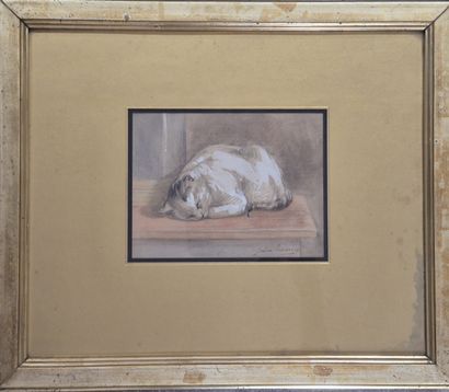 Jules LAURENS (1825-1901) Sleeping cat Charcoal...
