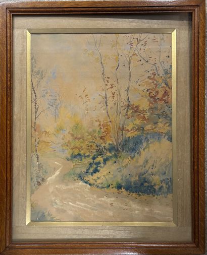 Early 20th century school. CALBRANT 
Undergrowth
Watercolor...