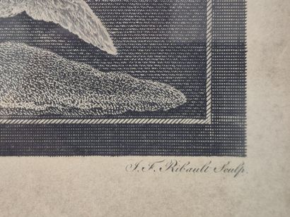 Set of three engravings framed under glass,...