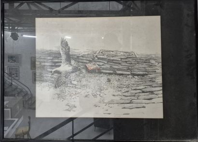 B.A.G GUILLOT (20th century)
Seagull taking...