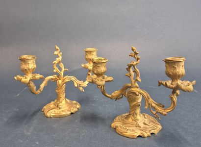 Pair of two-light ormolu candelabra with...