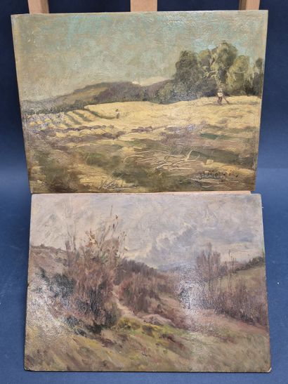 Anonyme, XIXe siècle 
Vues de campagne
Deux...