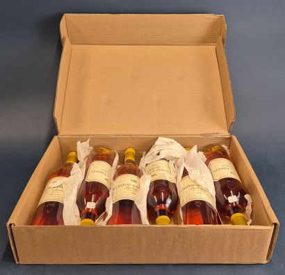 lot de 6 bouteilles de 75cl - Chateau de...