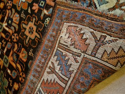 Tapis Chirvan (chaine, trame et velours en...
