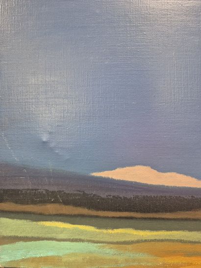 Eric RAMSPACHER (Né en 1942)
Nature 
Huile...