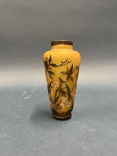 Etablissements GALLE (1904-1936)
Vase à haut...