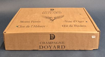 lot de 6 bouteilles de 75cl - Chateau de...