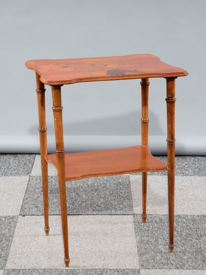 Émile GALLE (1846-1904)
Two-top wooden tea...