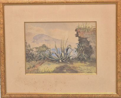 Daniel BAC (1831-1904)
Vue de la Baie des...